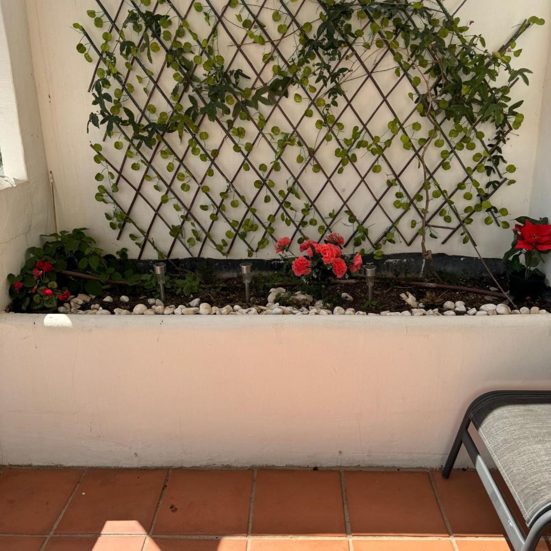 Apartment Costalita Dreams